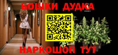 шишки Донской