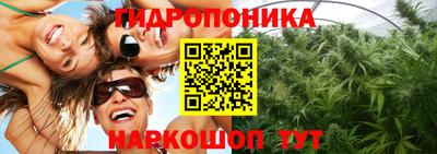 сатива Дубна