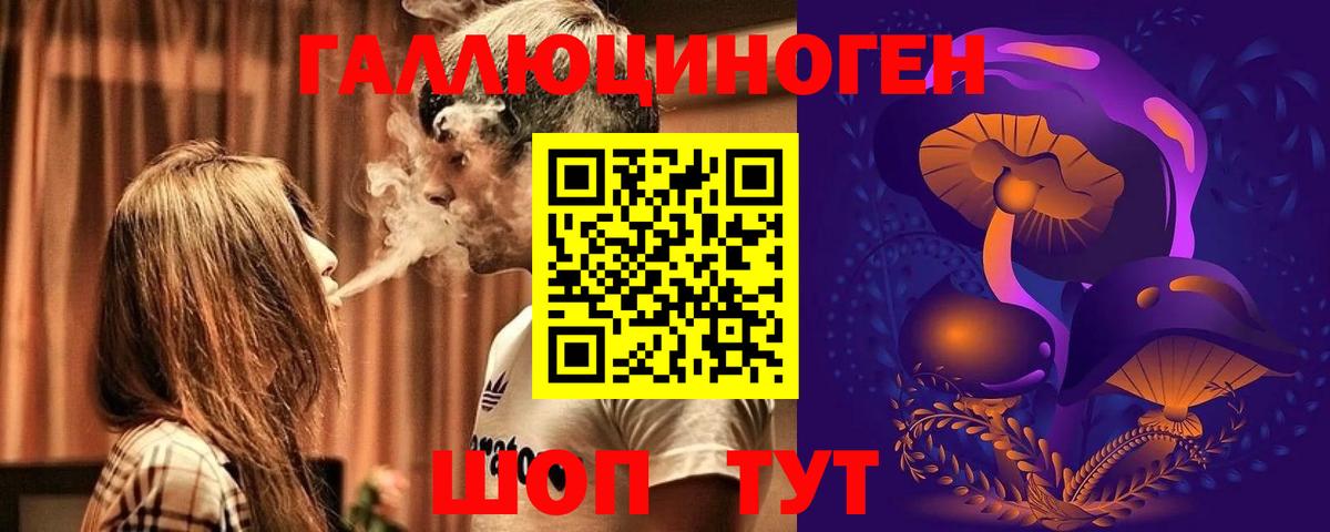 Галлюциногенные грибы GOLDEN TEACHER  Вход с VPN  Петропавловск-Камчатский 